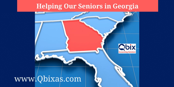 Helping Our Seniors in Georgia